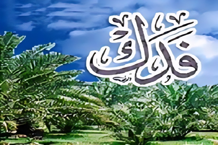 فدک، مسئلهای سیاسی برای حفظ خلافت فدک