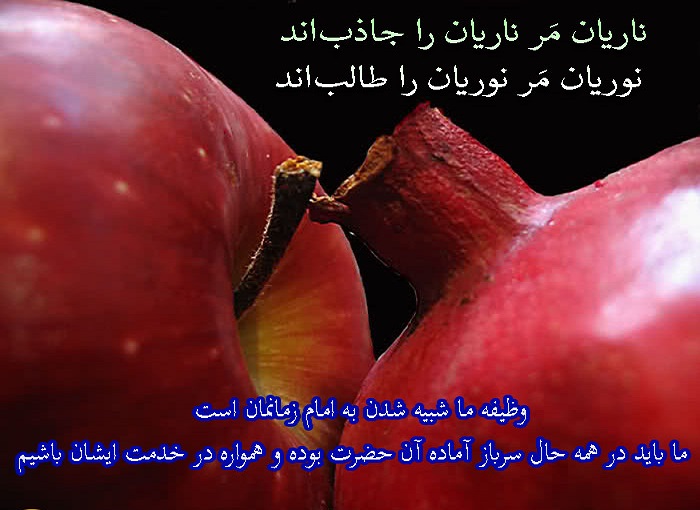 ایجاد سنخیت با امام زمان (عج) ایجاد سنخیت با امام زمان (عج)