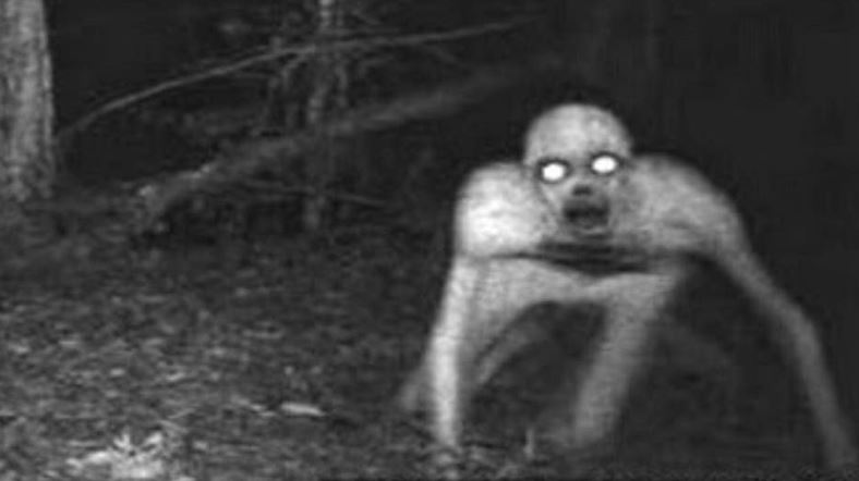 غیب گوئی و قدرت اجنه توانائی اجنه