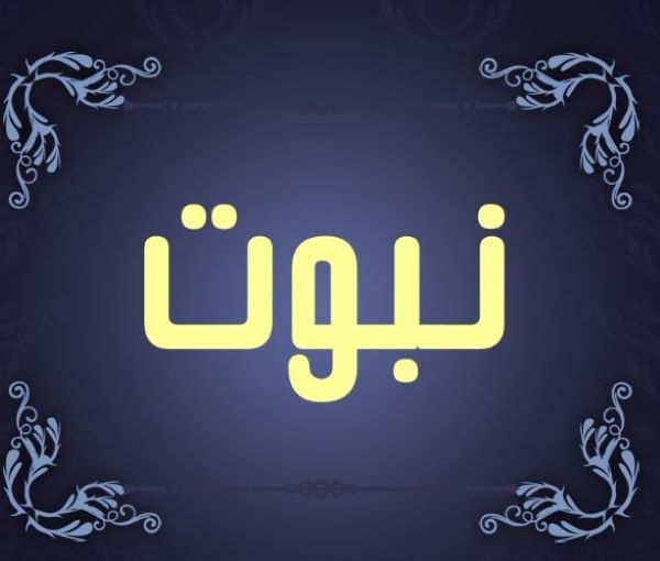 انکار اصل نبوت توسط برقعی انکار اصل نبوت توسط برقعی