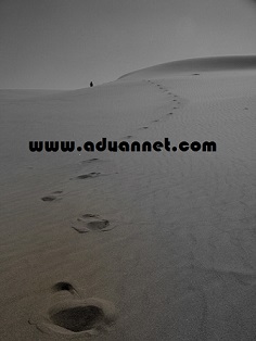 بیراهه بیراهه