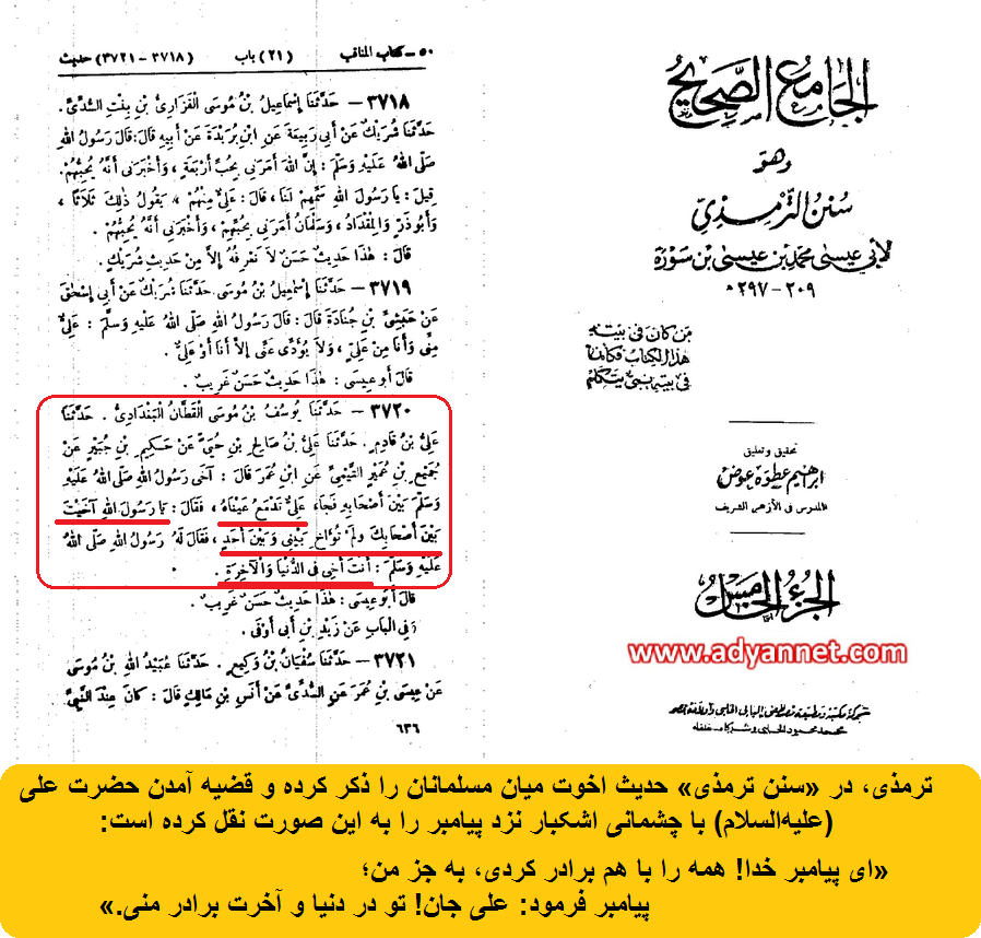حدیث اخوت و نقل ترمذی