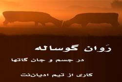 روان گوساله در جسم و جان گاتها
