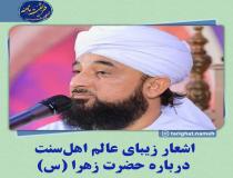 عالم اهل سنت و حضرت زهرا (س)