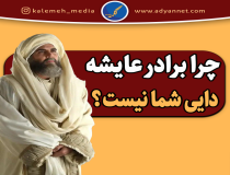 چرا محمد بن ابوبکر خال المؤمنین نامیده نشده است؟