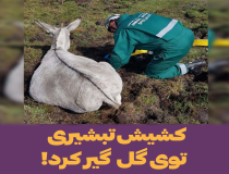 پاسخ به کشیش تبشیری در مورد انقلاب